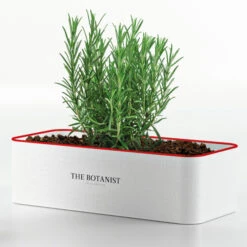 The Botanist Islay Dry Gin Planter Gift Set -Liquor Discount Store botanist plantertinset ps2