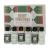 Christmas Crackers Gin Gift Set