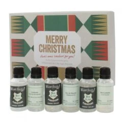 Christmas Crackers Gin Gift Set