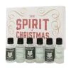 Spirit Of Christmas Gin Gift Set