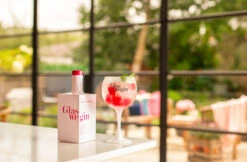 Glaswegin Raspberry & Rhubarb Gin -Liquor Discount Store glaswegin raspberry rhubarb lifestyle01
